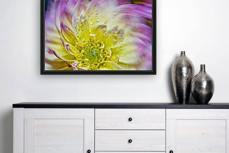 Spin Up Of A Yellow Dahlia by Glauco Meneghelli