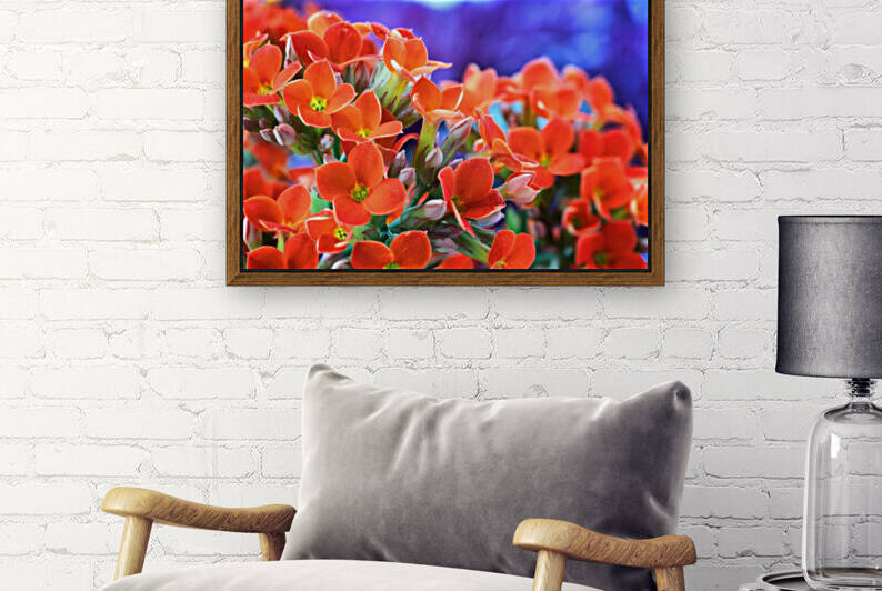Flowers by Glauco Meneghelli