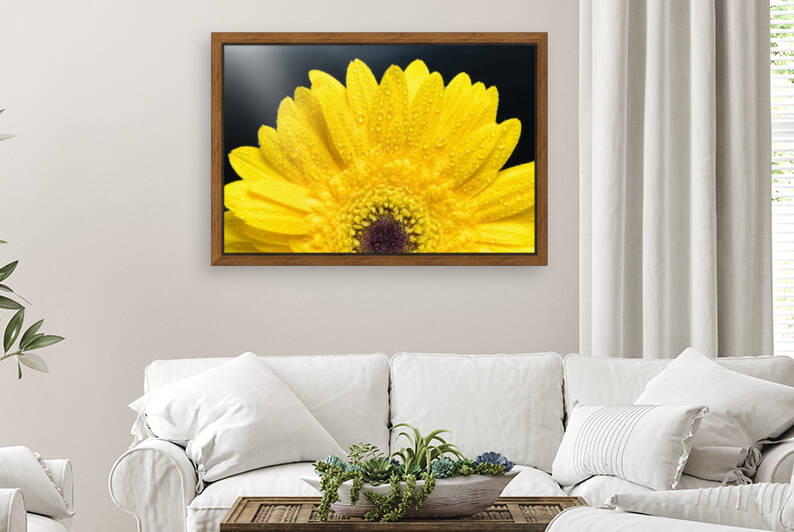 Yellow Gerber Daisy by Glauco Meneghelli