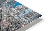 Up View HD Metal print