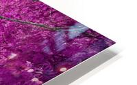 Dry Oak HD Metal print