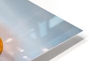 Plage Beaussis HD Metal print