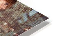Jade HD Metal print