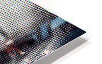 Velorina HD Metal print