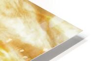 golden hour  HD Metal print