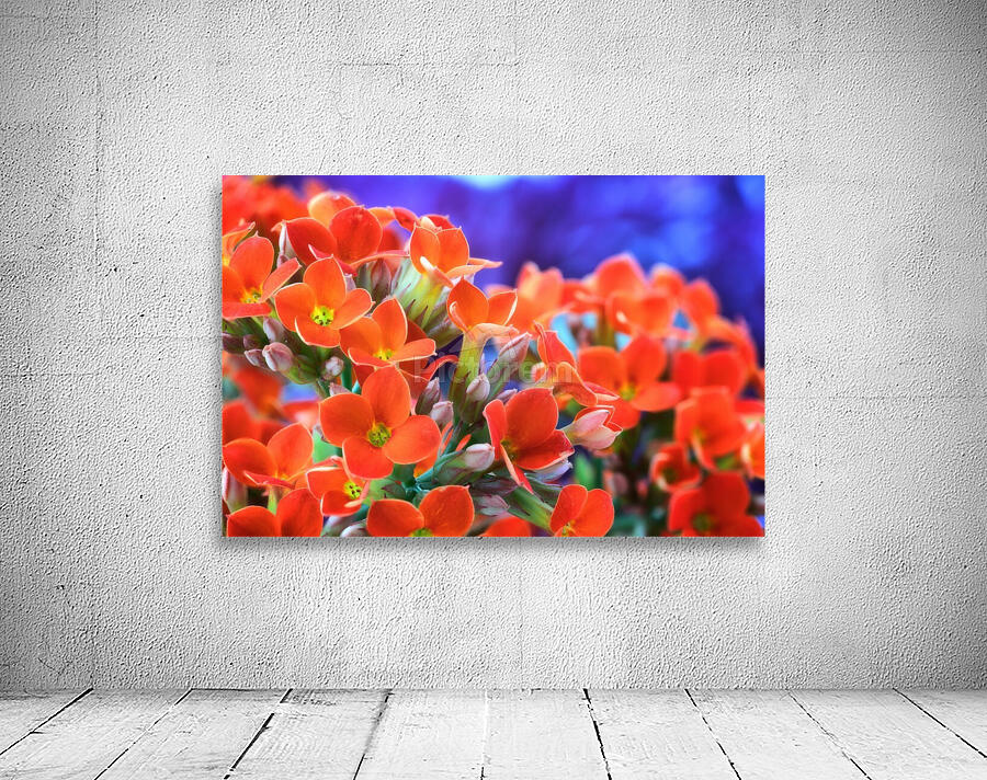 Flowers Wall Preview
