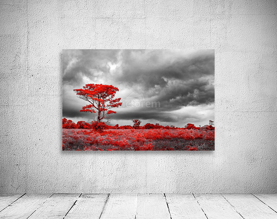Red Tree Wall Preview