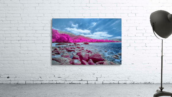 The Harmony Beach Wall Preview