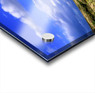 Desert Rainbow Acrylic print