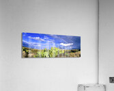 Desert Rainbow Acrylic Print