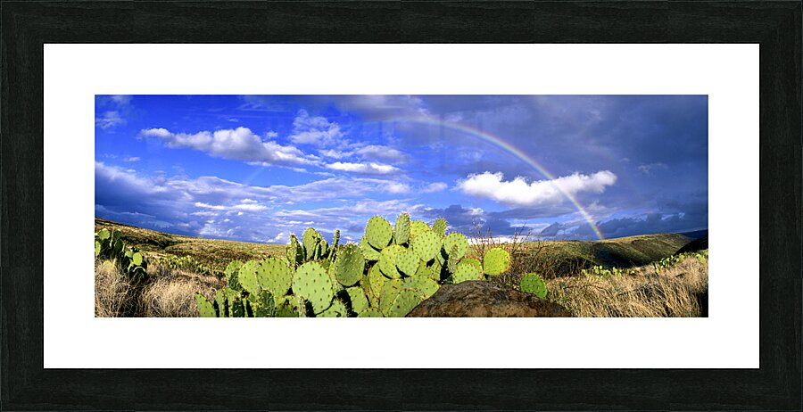 Desert Rainbow Picture Frame print