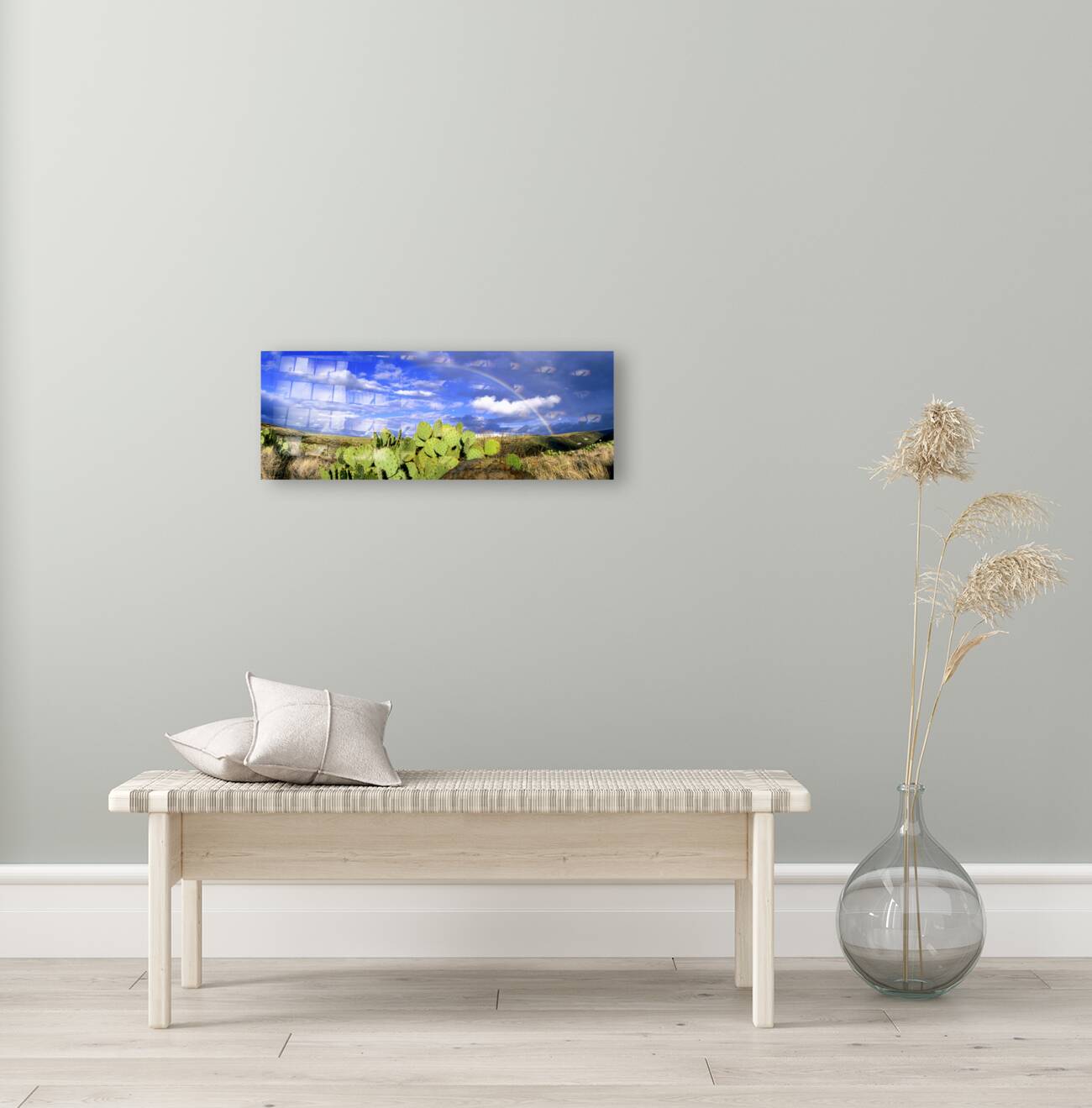 Desert Rainbow Reproduction