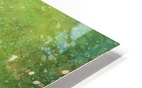 Dappled Blooms HD Metal print