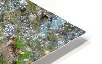Burbling Brook HD Metal print
