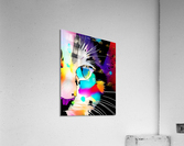 cat Acrylic Print