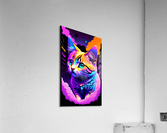 Cat Galaxy Acrylic Print