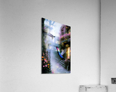 Hummingbirds Acrylic Print