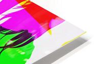 Hot HD Metal print