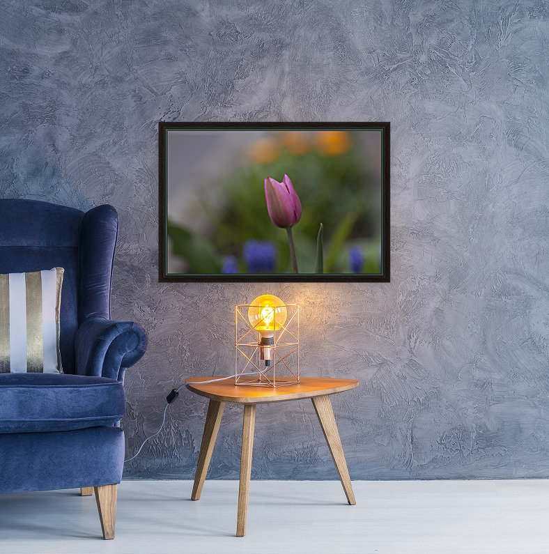 Tulip Reproduction
