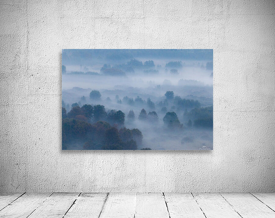 Morning mist Wall Preview