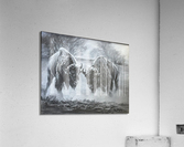 Conflict Resolution Acrylic Print