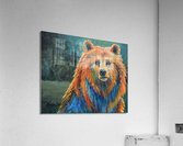 Bear Stare Acrylic Print