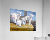 NURSERY Acrylic Print