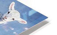 NURSERY HD Metal print