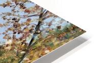 Still Water HD Metal print