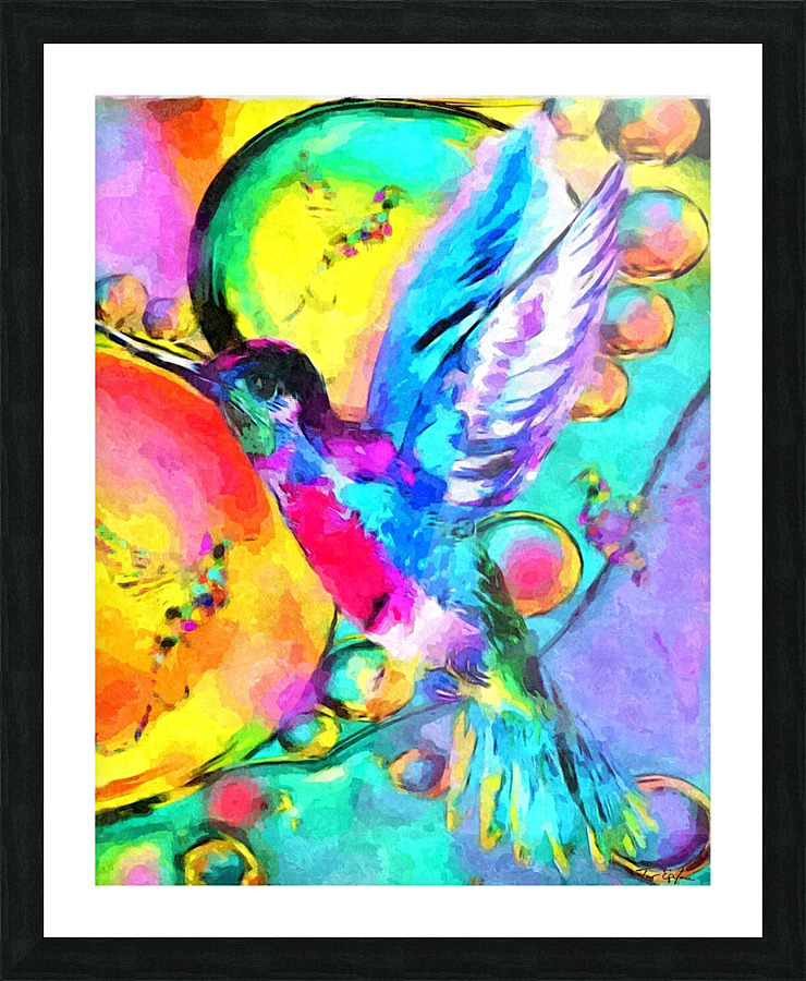 HUMMING-BIRD  Picture Frame print