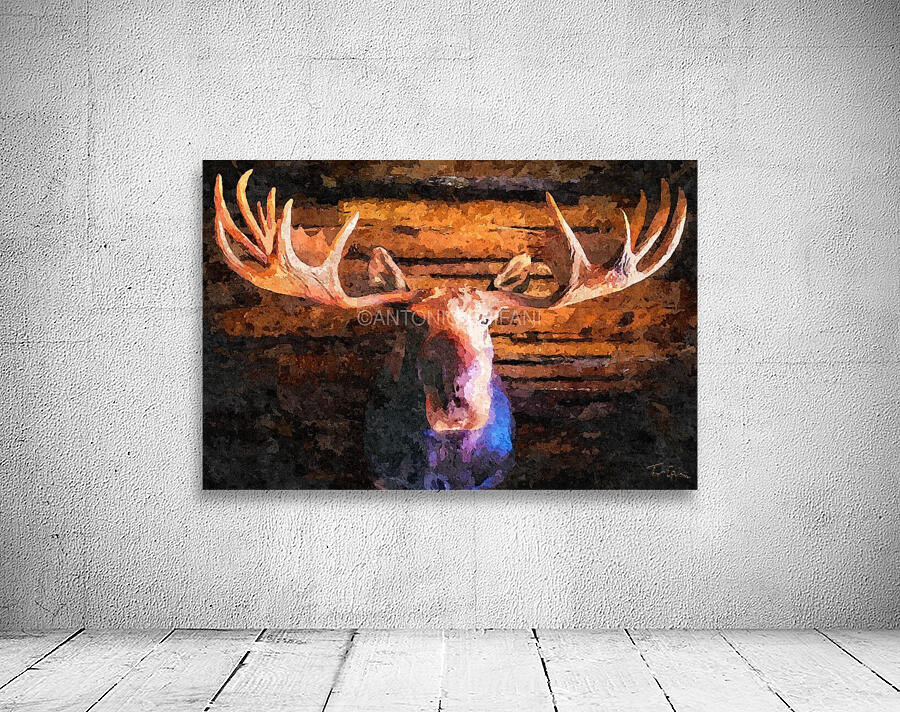 MOOSE MOONY Wall Preview