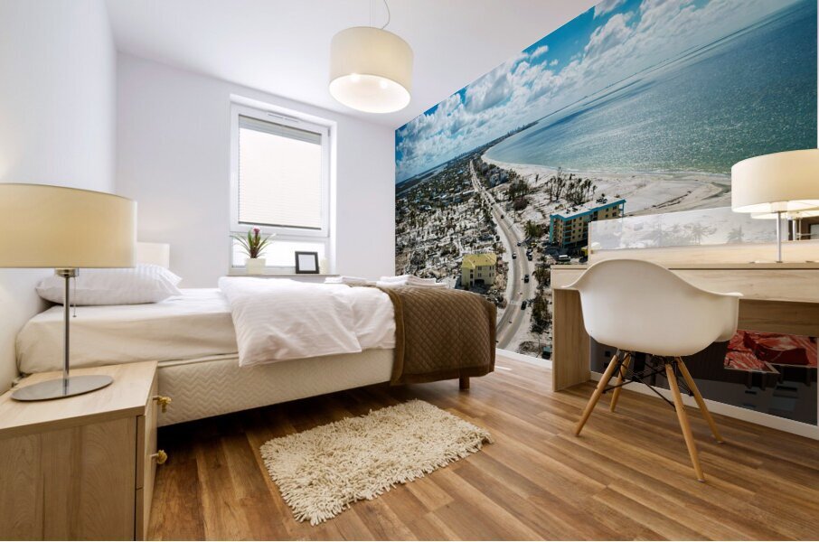 FMB Post Ian South Looking Mural print