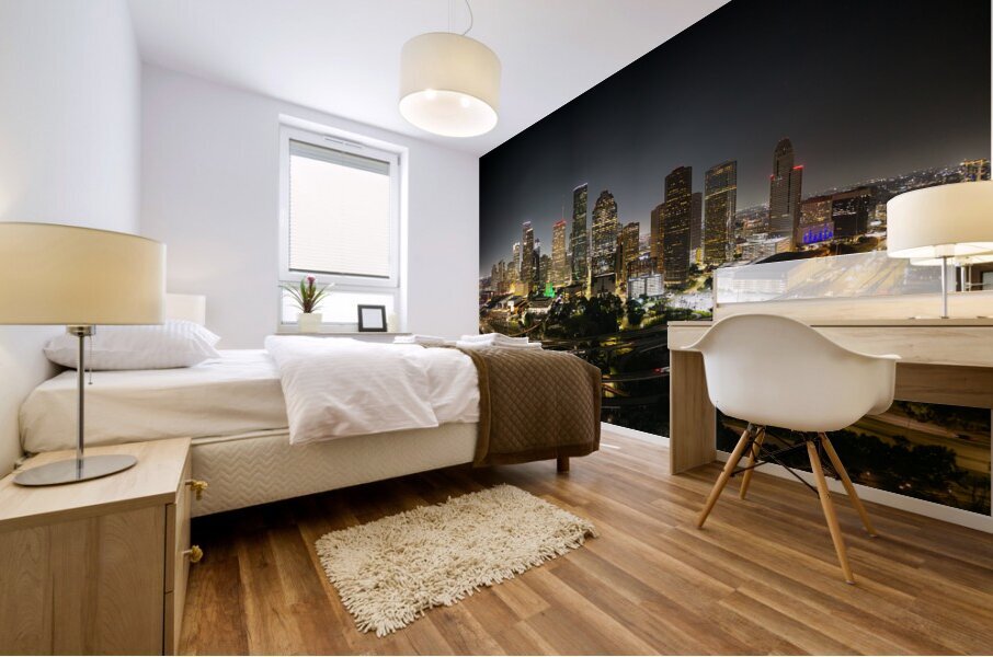 Houston Cityscape Mural print