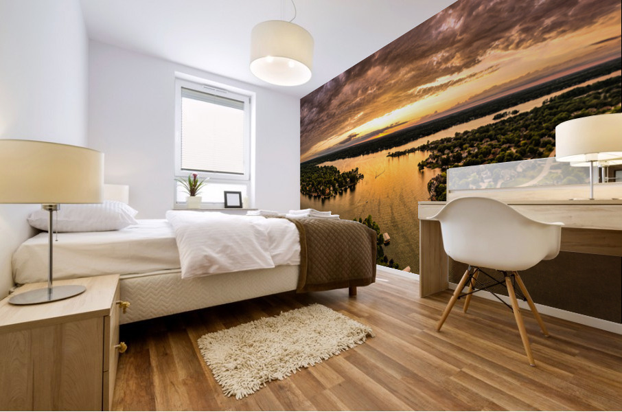 Pink Sky at Night Mural print