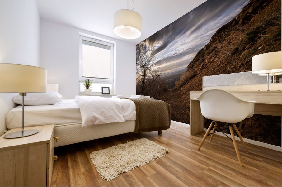 Mt. Olympus Utah Walking Trail   High Res Mural print