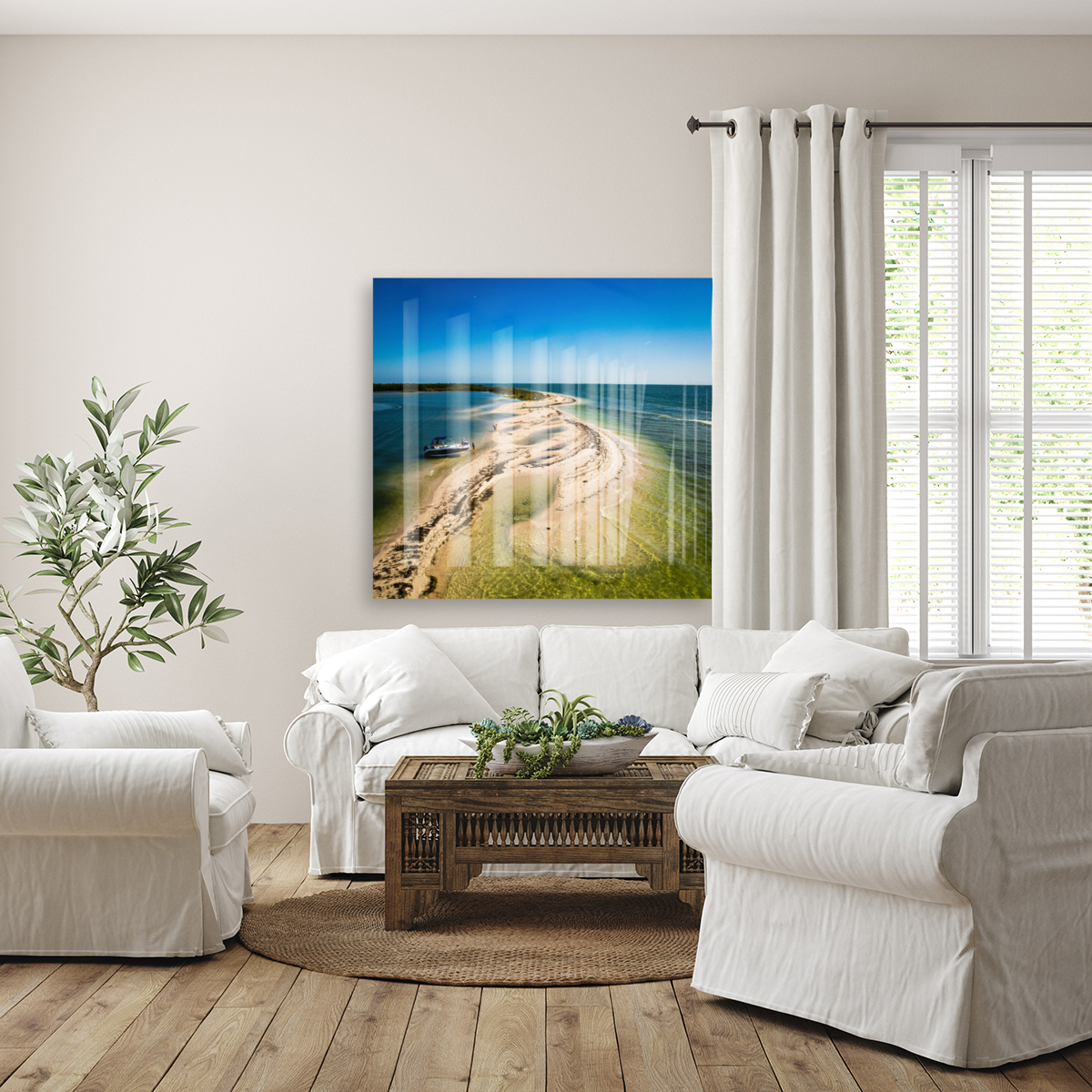 Cayo Costa FL Reproduction