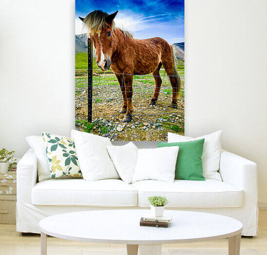 Icelandic Horse Reproduction