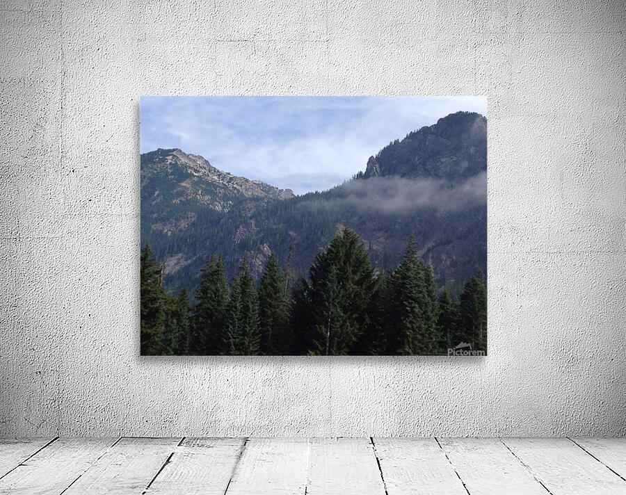Among The Trees  Wall Preview