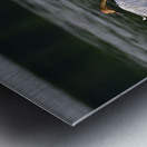 Needing a little personal space  Metal print