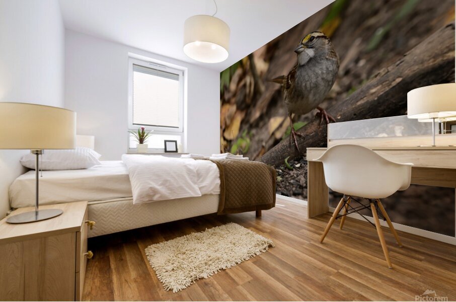 Daydreaming  Mural print