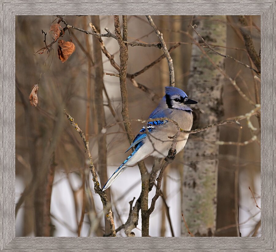Standing the watch Picture Frame print