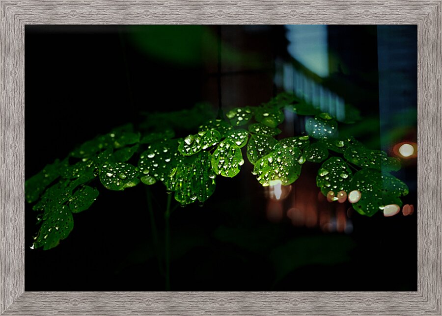 Spherical rain  Picture Frame print