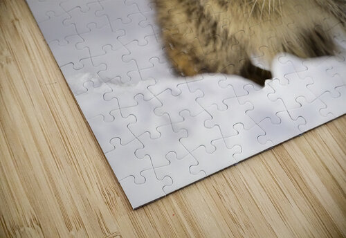 The look  Michael J Nowak puzzle