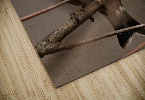 Pine Siskin Michael J Nowak puzzle