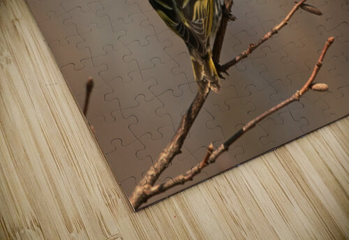  My good side Michael J Nowak puzzle