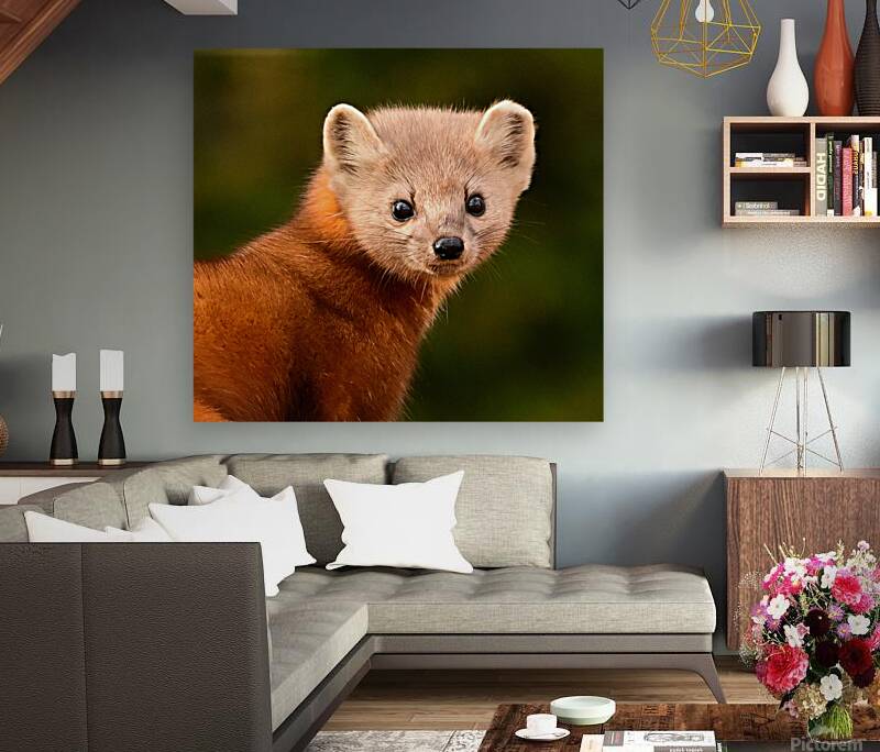 Cute and cuddly  Reproduction