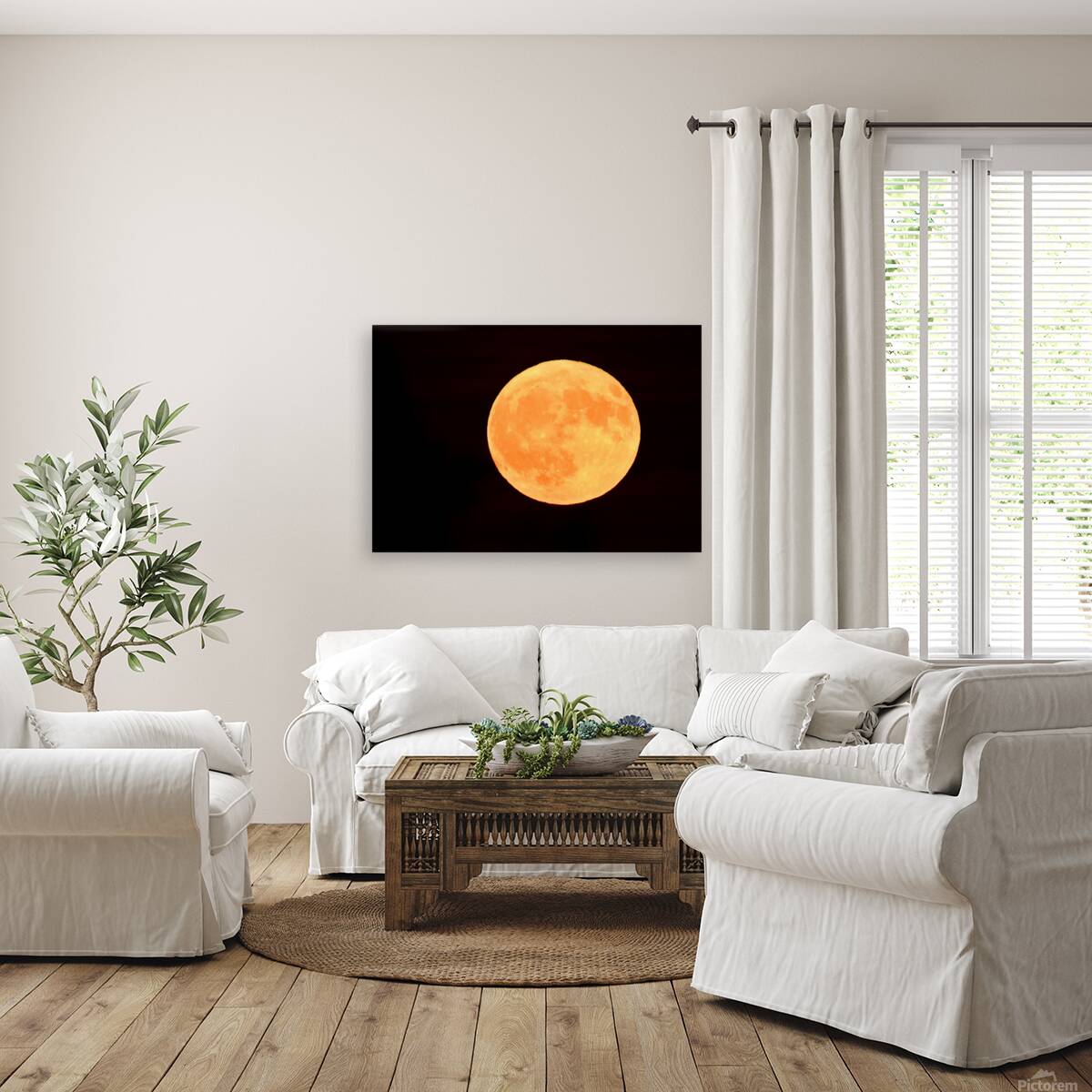 Julys Full Moon  Reproduction