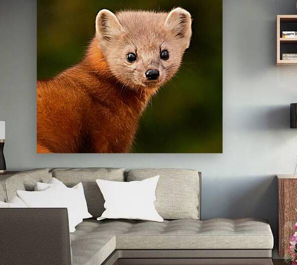 Cute and cuddly  by Michael J Nowak