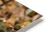 Daydreaming  HD Metal print