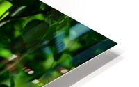 Beautifully broken   HD Metal print